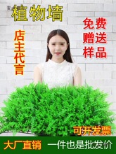 ֲGֲƺƤ͏dϼٻT^̨b̫