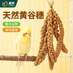 �����W�^������ʳ�Bʳ�S����С�׼t�������P��Ƥĵ��Ӗ�������Ʒ