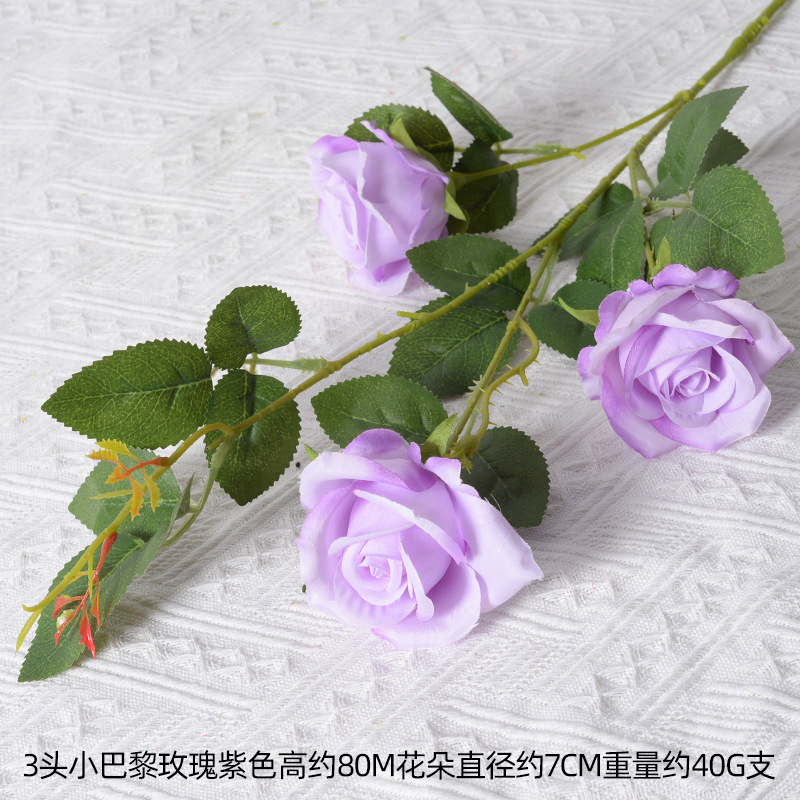 3 cabezas pequeño París púrpura