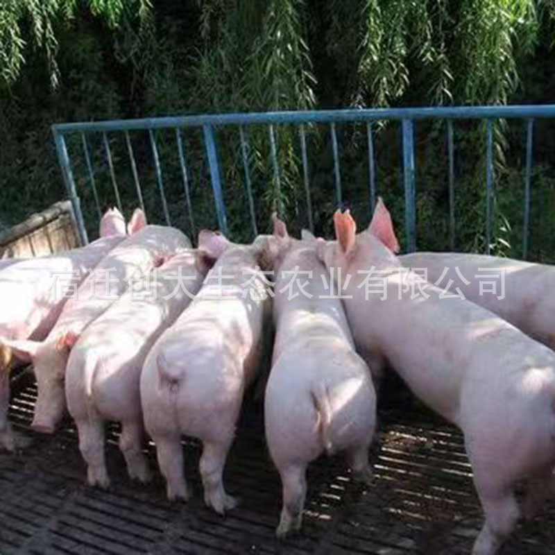 feb17a555020ac964cbff86f14284d