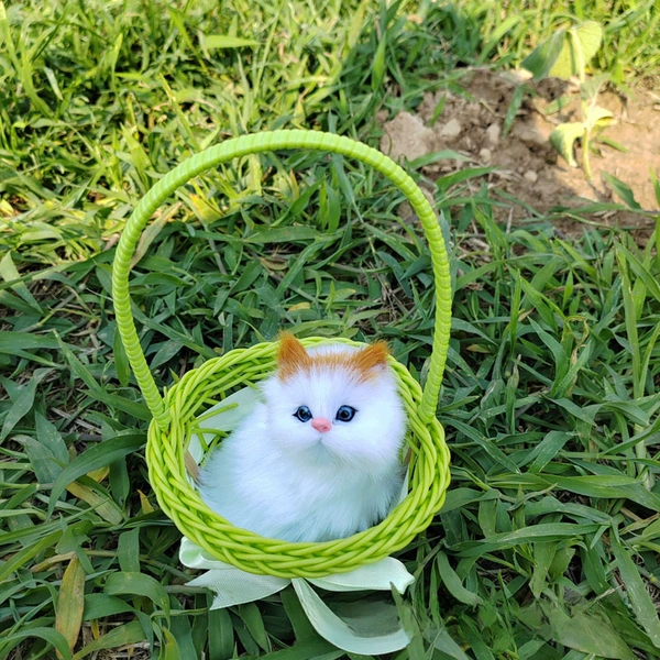 Not called green big basket white cat