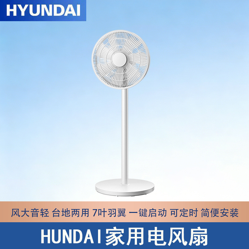 HUNDAI Household Electric Fan Platform Dual-use Three-speed Remote Control Timing Remote Air Supply Light Sound Household Floor Fan