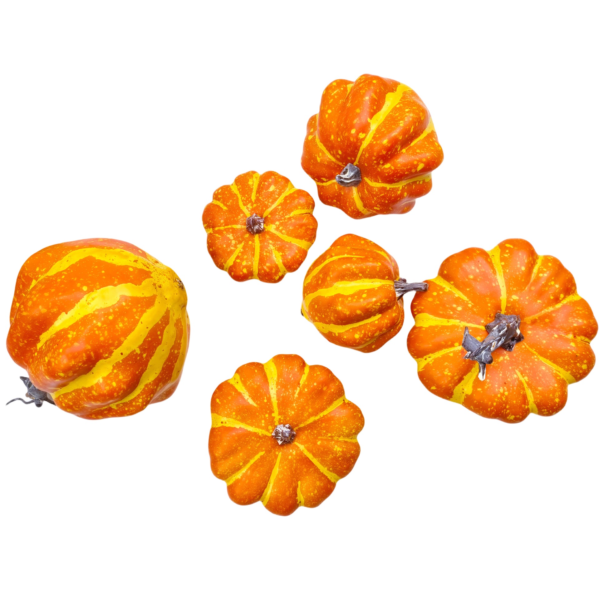 주황색 호박 세트