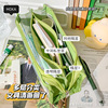 Transparent pencil case for elementary school students, capacious stationery, Korean style