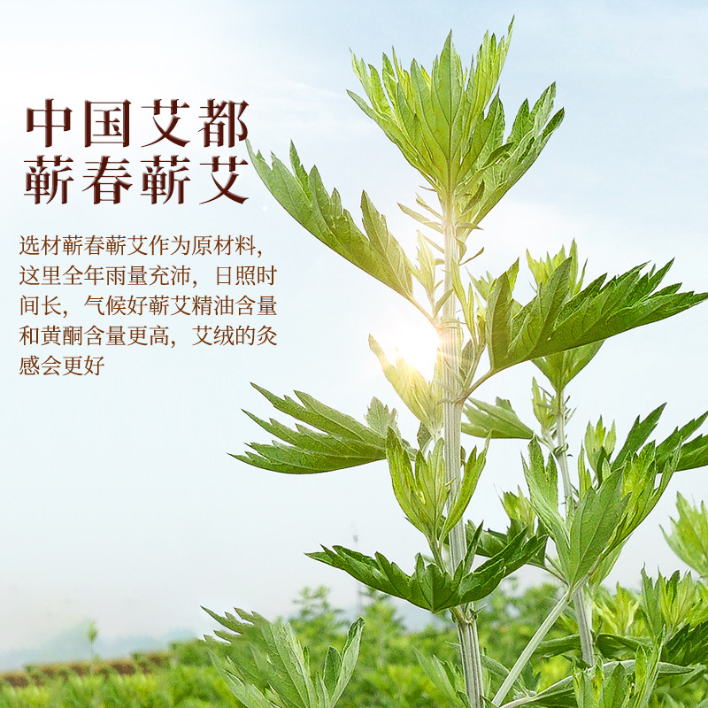 ͰݰҶͰĦSPAϴԡޭֱ