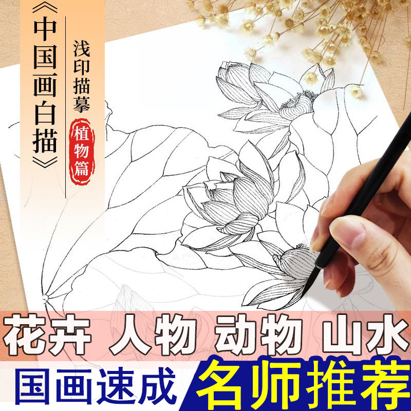 中国画白描古风描摹本动物人物花卉山水工笔画手绘国画初学者套装
