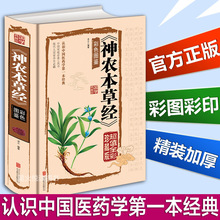 rݽɫDbЇtWвșԔșșԼͥB