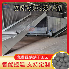 网带式煤球烘干机 大型木炭球兰炭碳棒烘干设备 连续式型煤干燥机