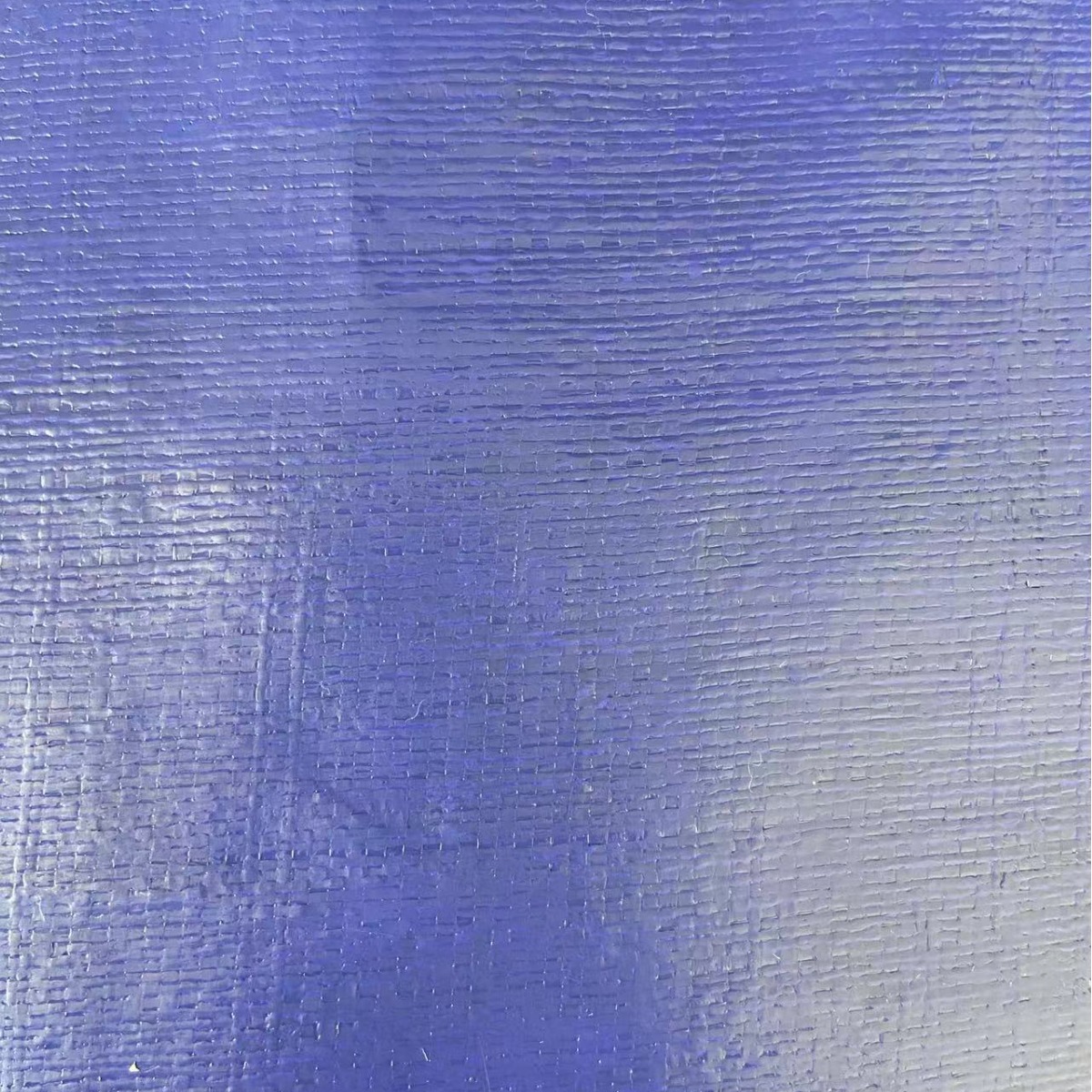 厂家供应 蓝银双色编织布 防水防潮