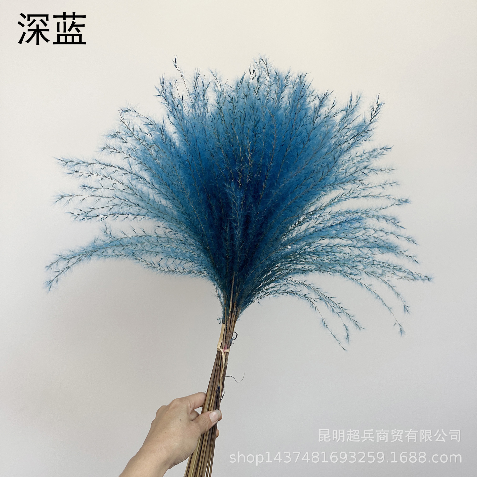 微信图片_20250310133812.jpg