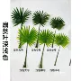 北欧婚庆植物人造葵叶