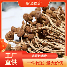 茶树菇批发不开伞2025茶薪菇干货农家散装新货香菇食用菌新货上市