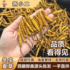 燕窝;冬虫夏草;海参