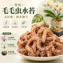 智利水苔长纤维兰花石斛栽培基质透气保水园艺绿植花卉种植用土