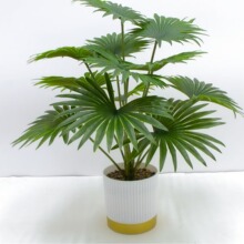 仿真绿植桐棕树小型落地盆栽北欧风绿色植物盆栽家居装饰品