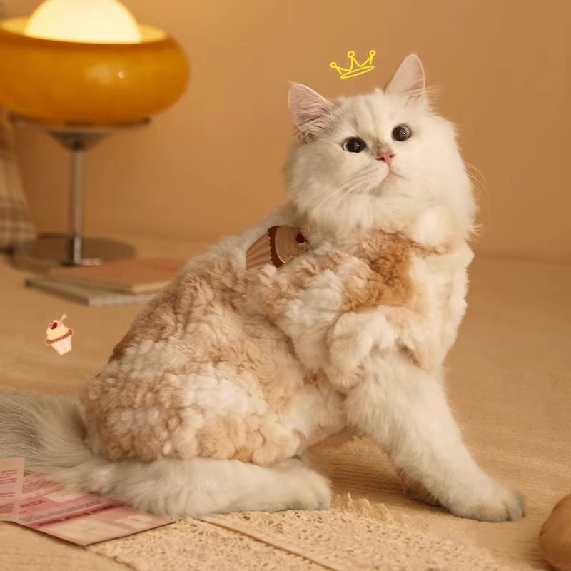 Зимняя теплая одежда для кошек Кот-поводырь