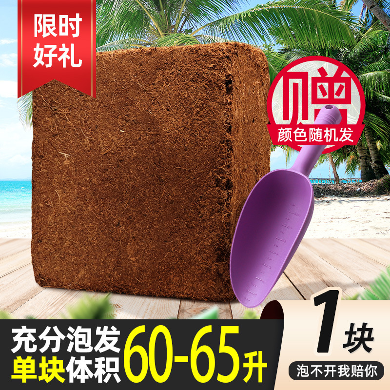 [기간 한정 선물] 4.5kg 탈염 특대형 코코넛 벽돌 1개(수지 손삽 1개 포함)