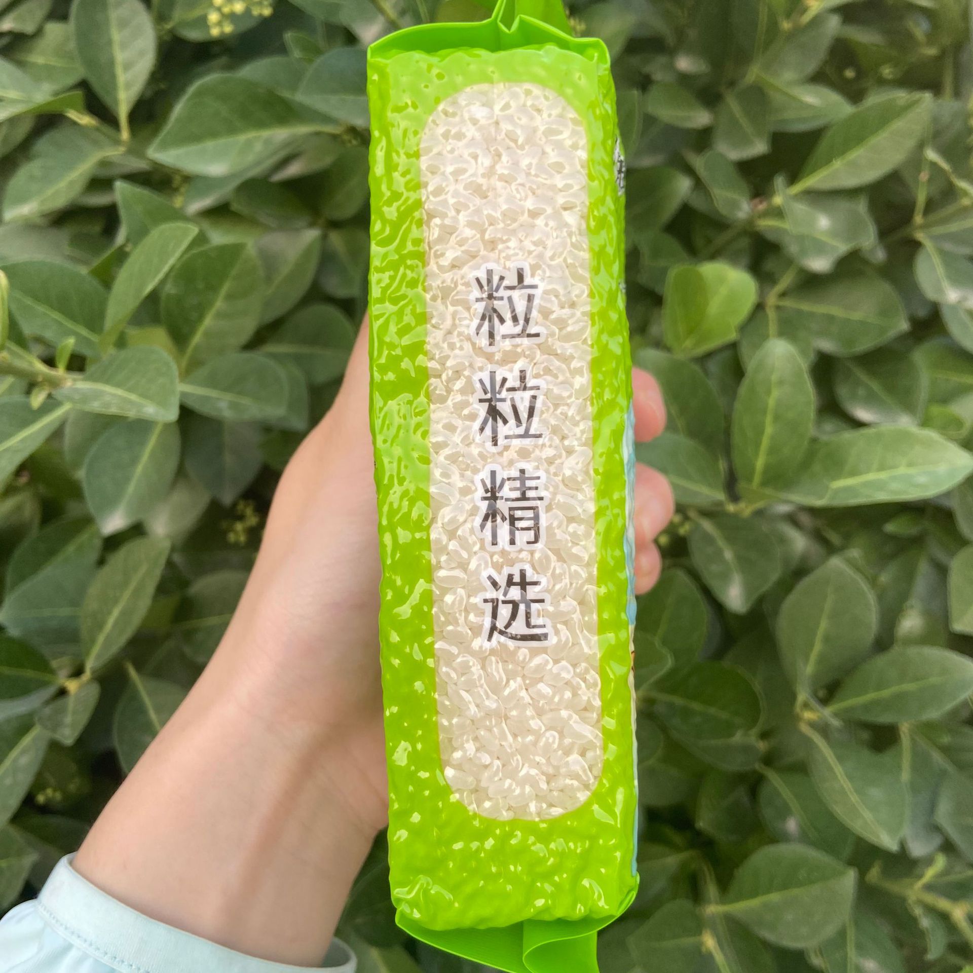 微信图片_20230626214315