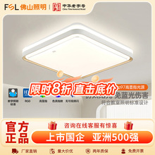 FSL��ɽ����led������픟��F�����s���Ο��߷��g�^������2025�¿�