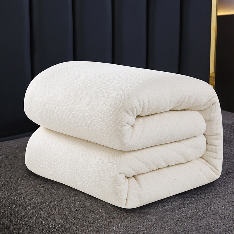 Xinjiang cotton quilt spring and autumn cotton wool quilt new fish scale mesh cotton tire winter quilt core quilt thickened bedding wholesale