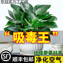 �������ֲ���K��荾G�}�jˮ����~�Gֲ�����k���҃ȑ��˺��B����