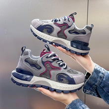 WtƴɫϵЬŮeЬ2025¿Сٴ׷\Ь