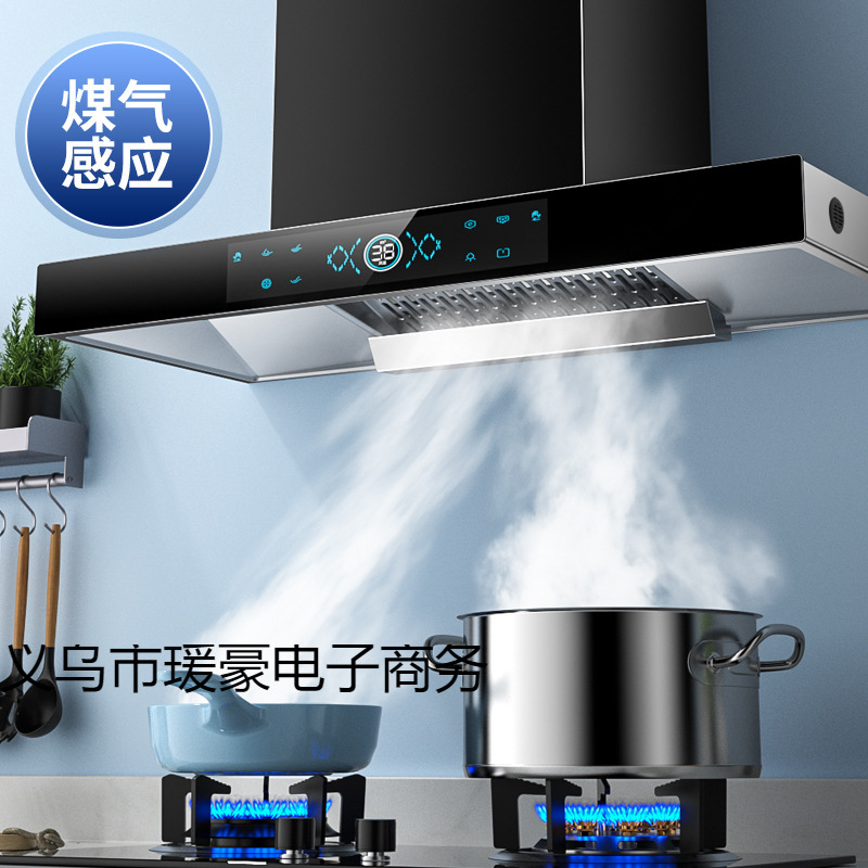 Wholesale Cherry Blossom Tree Top Range Hood for Home Kitchen with Large Suction Power for Rental Housing T-Shaped European Range Hood Gas Stove