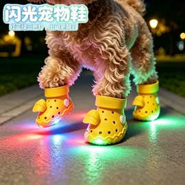 鞋辅件;鞋扣;包挂件