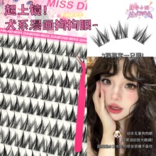������T���޵�ͬ�޸��������ë�ֶ�ʽ�����R�ؼٽ�ë