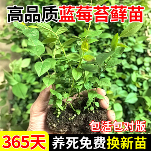 ���M���{ݮ̦�\�硿�����ش��Ó��L25��Ƥ����o���̨��������