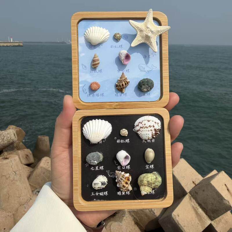 Natural Shell Conch Rotating Starfish Refrigerator Magnet Travel Magnet Cultural and Creative Gift Seaside Creative Ocean Gift Natural Shell Conch Rotating Starfish Refrigerator Magnet Travel Magnet Cultural and Creative Gift Seaside Creative Ocean Gift