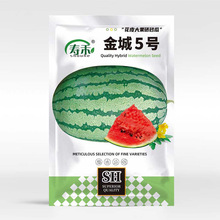 特大巨型西瓜种子金城5号西瓜早熟高产特甜南方富砂瓜花皮大果