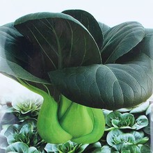 ๣˷NӷNѺ~Kఫ_Ͳ˲Ϻļ߲ѷN