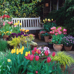 �ذ����������l ���ܺ��m������5�ȴ�N��ٺ��҃���ֲ�����Ժ��B