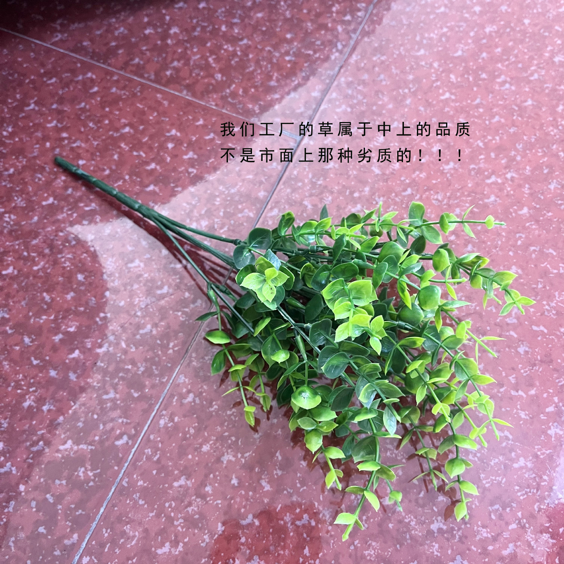 7 cabezas eucalipto verde hierba pura