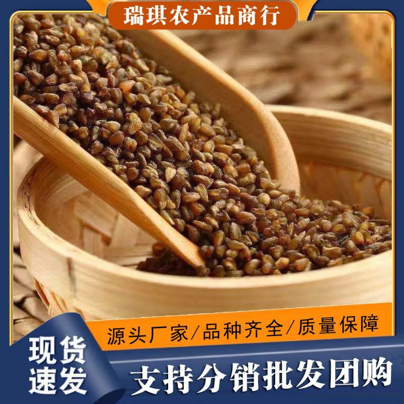 黑苦荞米纯苦荞麦米新米正宗云南特产农家生五谷粮粥荞麦仁米饭