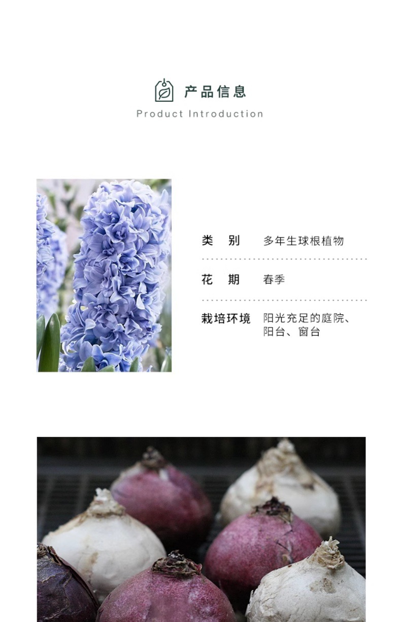 YJH_一键复制_20240722221433