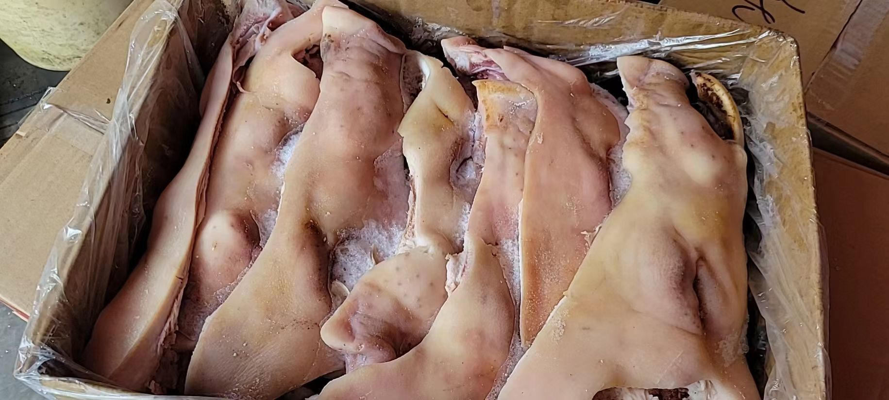 QQ图片20221019110335