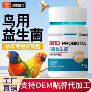 �����տɌ����B�����������P�˸��W�^�����a���c����������Sֱ�N