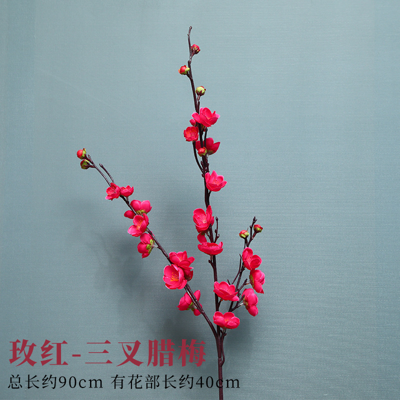 세 갈래의 장미 붉은 자두