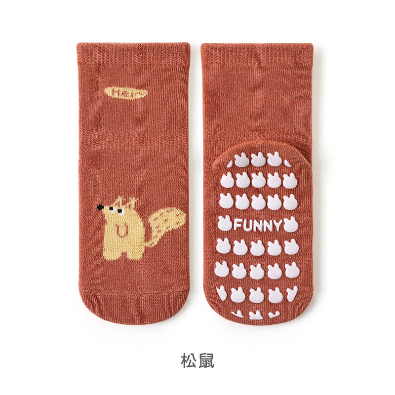 (수란) 주황다람쥐