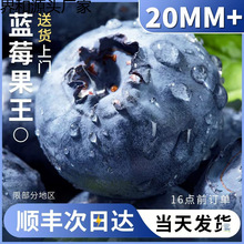 ����{ݮ�r�����r20mm�߶�ˮ���������w��ɽL25����������S���]