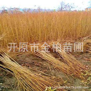 ɽ�ҳ���С��ɽ�ҳ���5-12���ֆ�ľ�G����ɽ�ҳ���N����