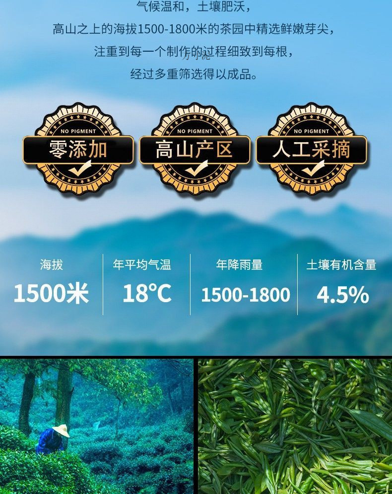 fcb5ddfe-19cf-4f67-be77-15135ca9e53f.jpe