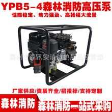 ��Яɭ��������ѹ��YPB5-4ɭ��������ѹ�û����๦�ܷ���������