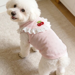 ���Ŀ�ﹷ���·�̩�ϱ���ѩ�{��s����؈��С��Ȯ26��ˮ������