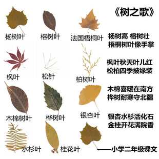 �Z���n��֮��11�N���~���z����ֲ��˱��W���J֪�̲Ŀ�Ƭ�¿���N