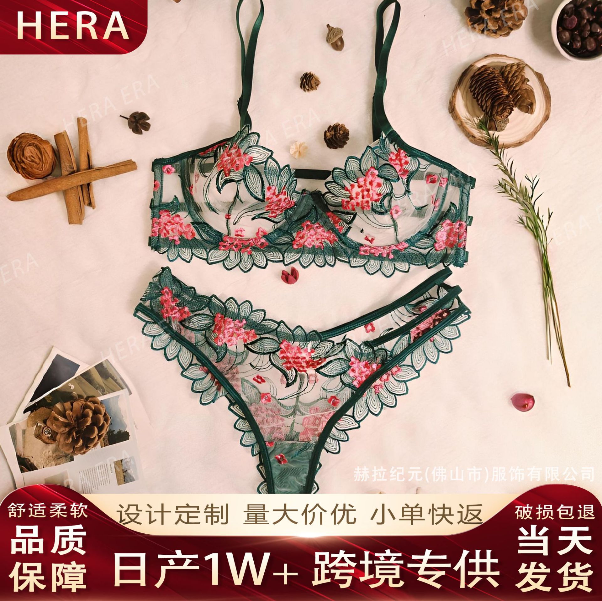 2025 Bordado de comercio exterior transfronterizo Estilo maduro Hilo de red transparente Conjunto de lencería sexy Traje de nuevo estilo transfronterizo para damas