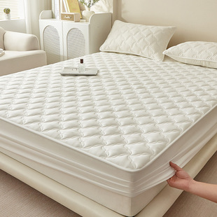 2025�¿�ϯ��˼���|���m���H�w���mA�ˮϴ�ފA�޴��Ҽӹ�����