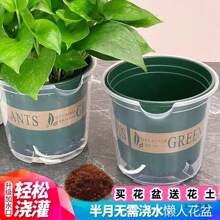 ���˻����Ԅ���ˮ��ɫ����ˮ����m�G�}���⻨��2021�¿��͠I�B��